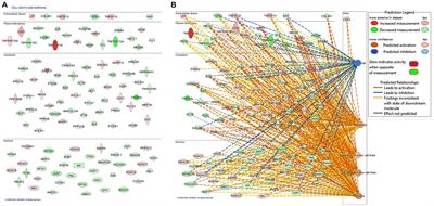 FKBP51 Affects TNF-Related Apoptosis Inducing Ligand Response in Melanoma